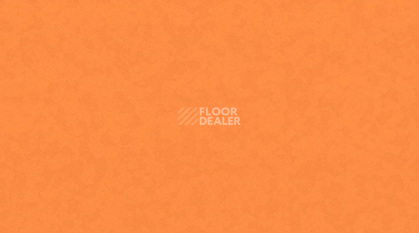 Линолеум Taralay Premium Compact Osmoz 4149 MANDARIN фото 1 | FLOORDEALER